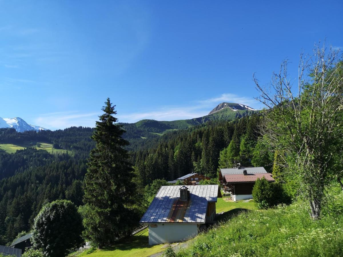 Apartamento Duo Des Alpages Vue Exceptionnelle Sur Le Mont Blc Saint-Gervais-les-Bains Exterior foto